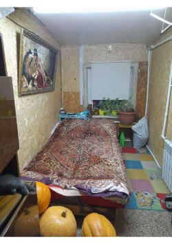 1/4 доля в праве на жилое здание, площадь: 23,6 кв.м., кадастровый номер: 33:09:020423:51 и 1/4…