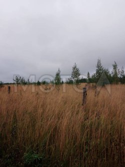 1/5 доля земельного участка в Пермском крае