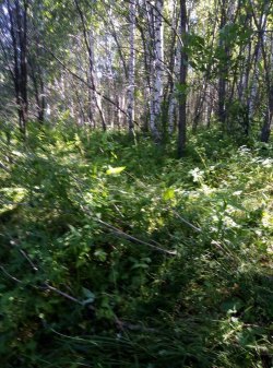 ½ доли в праве общей долевой собственности на земельный участок, площадью 1077 +/- 8 кв.м., адрес…