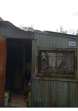 Земельный участок 74:33:0316003:976, площадь: 446 +/- 7 кв.м.. адрес: Челябинская область, г…