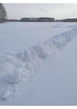 Земельный участок, площадь: 74 852кв.м., адрес (местонахождение): Российская Федерация, Омская…