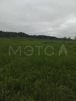 1/8 доля земельного участка в Архангельской обл.