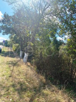 Земельный участок в Краснодарском крае, 6200 кв.м.