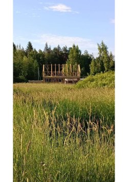 Земельный участок, категория земель: Земли сельскохозяйственного назначения, общей площадью 1200…