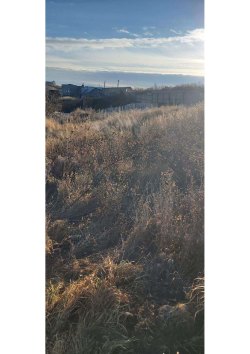 Земельный участок, площадь: 1 002 кв.м., адрес (местонахождение): Россия, Челябинская область…