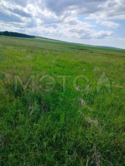 Земельный участок в Челябинской обл., 72000 кв.м.