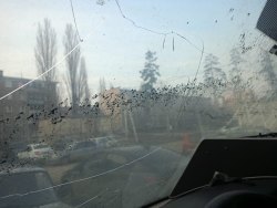 Торги по продаже имущества должника Щербатых Е.А.  Лот №1