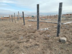 Земельный участок, кадастровый номер: 17:08:1503003:4798, расположенный по адресу: Республика Тыва…