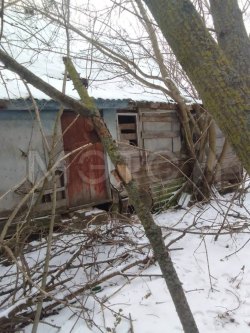 Дом 48 кв.м. и земельный участок 2700 кв.м. в Курской обл.