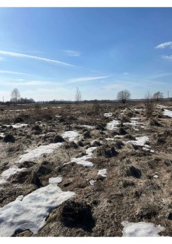 Земельный участок, площадь: 4 000м?, кадастровый номер: 68:14:0503003:23, Категория земель: Земли…