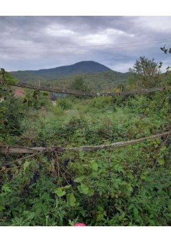 Земельный участок, кадастровый номер: 23:03:0000000:1359, вид права, доля в праве: собственность…