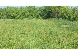 земельный участок