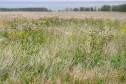 ½ доли в праве общей долевой собственности на земельный участок, площадь 2000 +/- 16 кв.м., адрес…