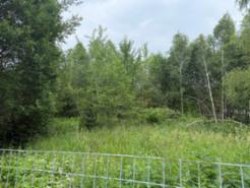 7 земельных участков по адресу Московская обл., р-н Истринский, с.пос Лучинское, ст. «Кедр», уч-к…