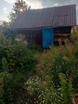 Земельный участок, общей площадью 5 000 кв.м. и Жилой дом, площадью 48,2 кв.м.