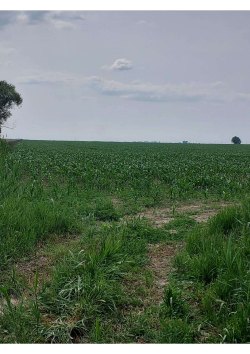 7000/671997 доля в праве на земельный
участок, площадь: 671 997 кв.м., адрес
(местонахождение):…