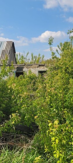 1/3 доля в праве на жилое здание, площадь: 64,4 кв.м., адрес (местонахождение): Липецкая область…