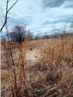 Земельный участок