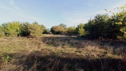 Земельный участок - 4 919 +/- 63 кв. м, адрес: Саратовская область, р-н Марксовский, с. Орловское…