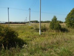 368 земельных участков, категория земель: земли сельхозназначения, вид разрешенного использования:…