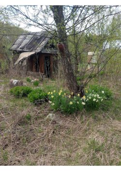 Земельный участок, площадь: 419 кв.м., адрес (местонахождение): Кировская обл, г Кирово-Чепецк, тер…