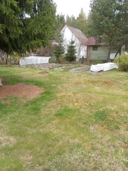 Нежилое здание (садовый дом) с кад. №47:15:0000000:802, площадью 72,9 кв.м., по адресу:…