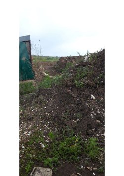 1/3 доля в праве общей долевой собственности на земельный участок, адрес: установлено относительно…