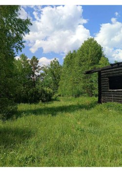 Торги по продаже имущества Кашичкиной Е.Н. земельный участок и жилой дом, расположенные по адресу:…