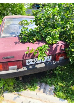 Легковой автомобиль