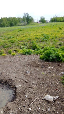 1/19 доля земельного участка в Омской обл.