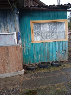 Жилое помещение, кад. № 69:05:0070603:88, площадь 54,3 кв.м., адрес: Российская Федерация, Тверская…