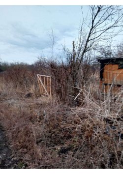 Земельный участок, площадь: 1 000 кв.м., адрес (местонахождение): обл. Воронежская, р-н…