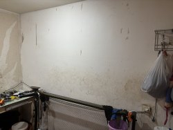 Торги по продаже имущества Смирнова А.С. Лот № 1 Лот №1 Лот №1 Лот №1