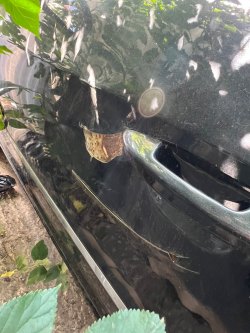 Легковой автомобиль