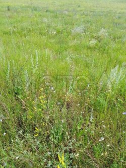 Земельный участок в Оренбурге, 1093 кв.м.