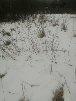 Земельный участок, площадь: 400кв.м., адрес (местонахождение): обл. Ивановская, р-н Фурмановский…