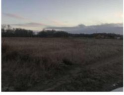 Земельный участок, площадь 1000,00 кв.м., назначение: Земли сельскохозяйственного назначения, адрес…