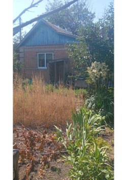 Земельный участок и нежилое здание, площадь 520+/-8; 24,4 кв.м., назначение: для садоводства…