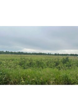 Земельный участок, площадь: 1 006 кв.м., адрес (местонахождение): 620000, СВЕРДЛОВСКАЯ ОБЛАСТЬ, р…