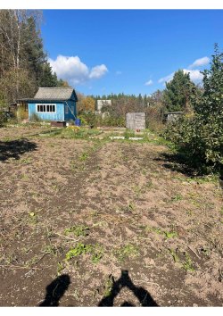 Нежилое здание, площадь: 17,5кв.м., кадастровый номер:  74:10:0414001:231 и земельный участок…