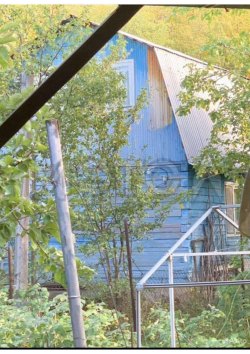 1/2 доля дома и 1/2 доля земельного участка в Самарской обл.