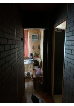 1/2 доля в праве на жилое помещение, площадь: 30,1 кв.м., адрес (местонахождение): Московская…