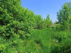 Земельный участок в Владимирской обл., 825 +/- 10 кв.м.