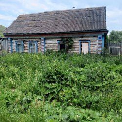 Жилое здание, площадь: 31,5 кв.м., кадастровый номер: 16:07:200101:920 и земельный участок…