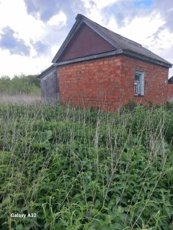 Жилое здание, площадь: 14,5 кв.м., кадастровый номер: 64:30:060103:62 и земельный участок, площадь:…