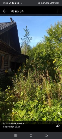 Новичков Виталий Робертович Лот №1 Лот №1 Лот №1