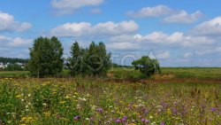 1/174 доля земельного участка в Московской обл.