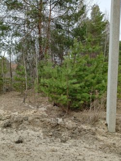 Камень керамический KERAMOKAM (U-образный) - (188 штук), расположенный по адресу: Пензенская…