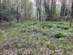 Земельный участок в Московской обл., 1000 +/- 22 кв. м