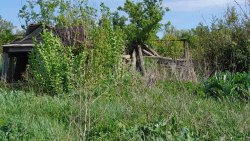 Земельный участок 900 кв.м. и дом 57.7 кв.м. в Саратовской области 